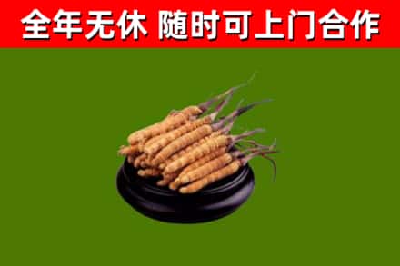 岳阳市烟酒回收冬虫夏草.jpg